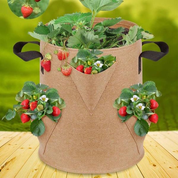 planters & pots multi-port non-woven plant planting bag nursery flower grow potato fabric pot planter vegetable container
planters & pots multi-port non-woven plant planting bag nursery flower grow potato fabric pot planter vegetable container