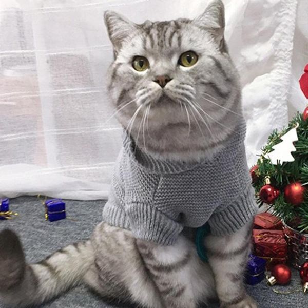 cat costumes apparel thick knitted pentagram pattern sweater two-leg nordic style lovely warm pet clothes
cat costumes apparel thick knitted pentagram pattern sweater two-leg nordic style lovely warm pet clothes