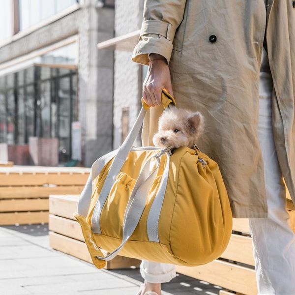 dog car seat covers portable pet carrier handbag cat bag outgoing small travel for cats dogs supplies
dog car seat covers portable pet carrier handbag cat bag outgoing small travel for cats dogs supplies