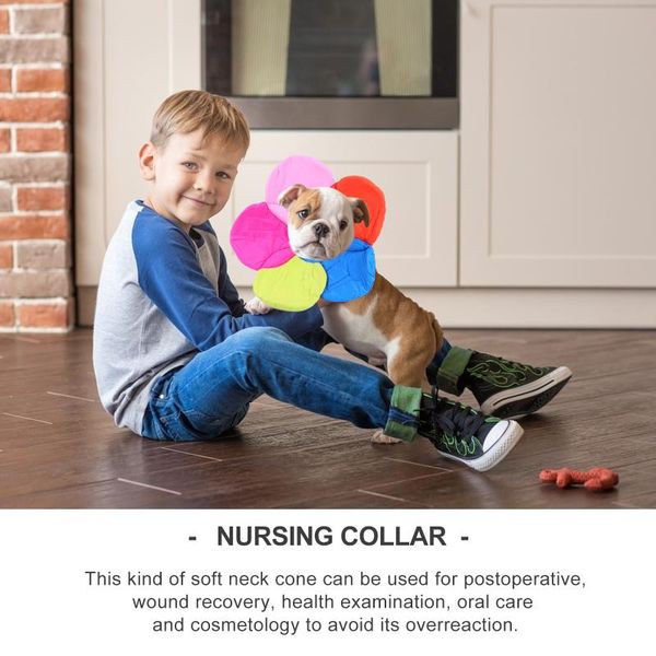 cat collars & leads anti licking and scratch recovery collar neck cone after
cat collars & leads anti licking and scratch recovery collar neck cone after