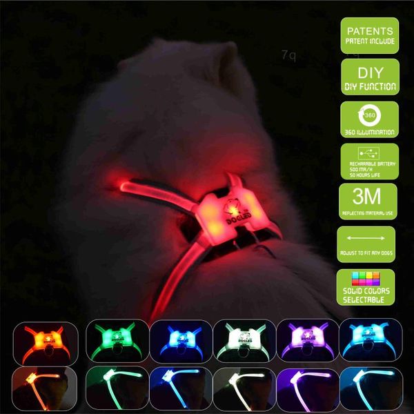 adjustable dog harness led accessories for large reflective dogs collars & leashes
adjustable dog harness led accessories for large reflective dogs collars & leashes