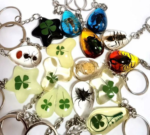 10 pcs keychain real mix scorpion real four leaf clover insect key ring back vintage rock jewelry, Slivery;golden
10 pcs keychain real mix scorpion real four leaf clover insect key ring back vintage rock jewelry, Slivery;golden