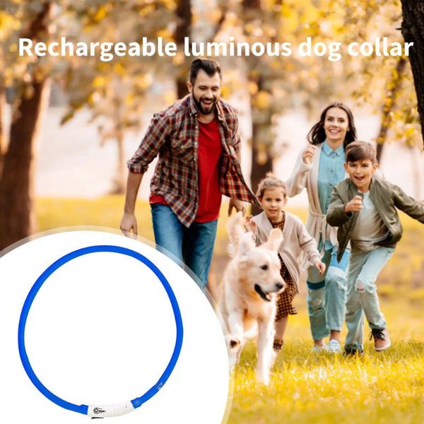 charging led dog collar night safety glowing anti-lost/avoid car accident flashing puppy necklace pet supplies seat covers
charging led dog collar night safety glowing anti-lost/avoid car accident flashing puppy necklace pet supplies seat covers