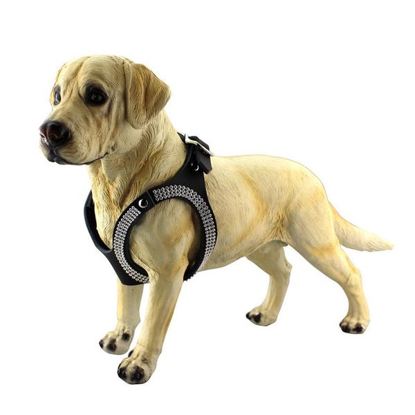 dog collars & leashes 3 colors luxury pet harness pu leather diamond puppy chest strap
dog collars & leashes 3 colors luxury pet harness pu leather diamond puppy chest strap