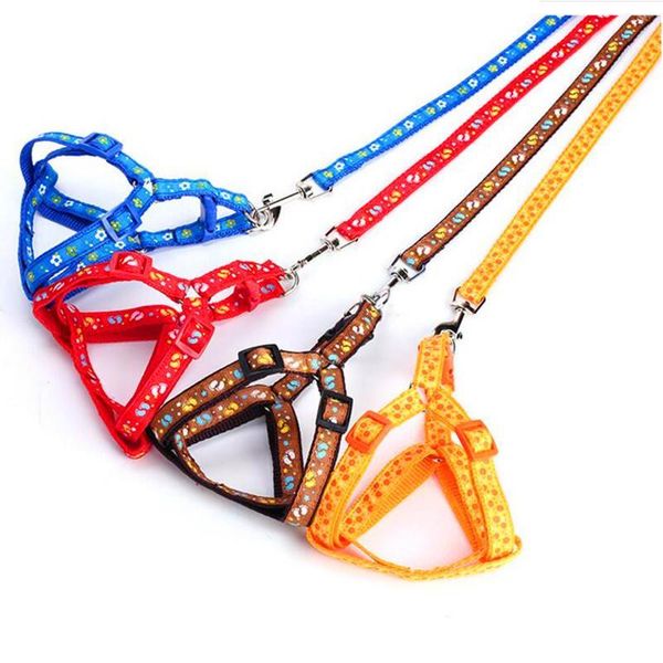dog collars & leashes soft breathable nylon harness and leash set puppy accessories adjustable lead belt traction rope
dog collars & leashes soft breathable nylon harness and leash set puppy accessories adjustable lead belt traction rope