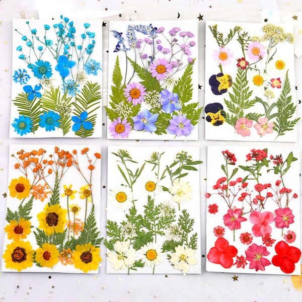 decorative flowers & wreaths dried pressed art supplies flower herbs kit for scrapbooking diy candle decoration mumr999
decorative flowers & wreaths dried pressed art supplies flower herbs kit for scrapbooking diy candle decoration mumr999