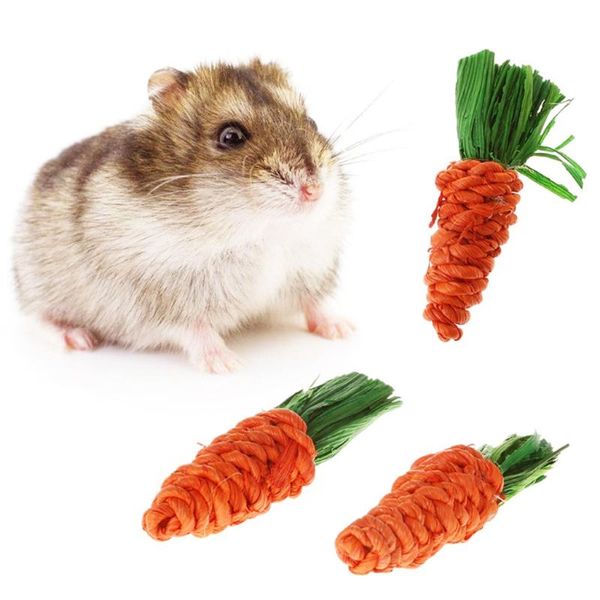 small animal supplies 3pcs hamster carrot toy grass pet chew bite resistant guinea pig tooth cleaning toys chinchilla
small animal supplies 3pcs hamster carrot toy grass pet chew bite resistant guinea pig tooth cleaning toys chinchilla