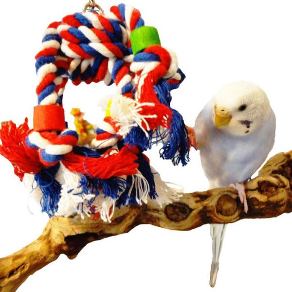 other bird supplies 1 x rope jumble pet toy parrot cage toys cages parakeet conure cockatiel
other bird supplies 1 x rope jumble pet toy parrot cage toys cages parakeet conure cockatiel
