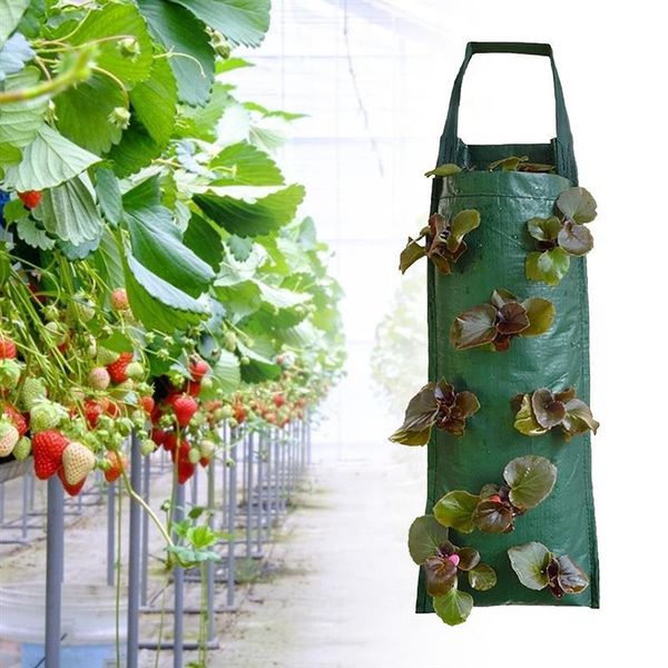 planters & pots 2pcs strawberry planting bags garden plant growing hanging planter for vegetables herbs flowers grow plants
planters & pots 2pcs strawberry planting bags garden plant growing hanging planter for vegetables herbs flowers grow plants
