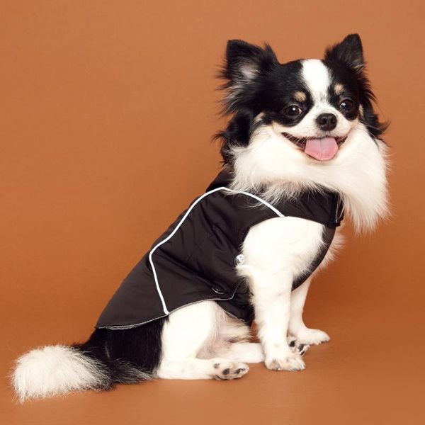 small-large dog clothes cotton-filled jacket autumn winter thicken warm teddy bichon golden retriever coats apparel
small-large dog clothes cotton-filled jacket autumn winter thicken warm teddy bichon golden retriever coats apparel