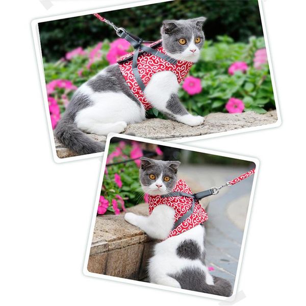 pet dog cat vest outdoor travel harness leash set for puppy floral pattern kitten walking traction rope products collars & leashes
pet dog cat vest outdoor travel harness leash set for puppy floral pattern kitten walking traction rope products collars & leashes