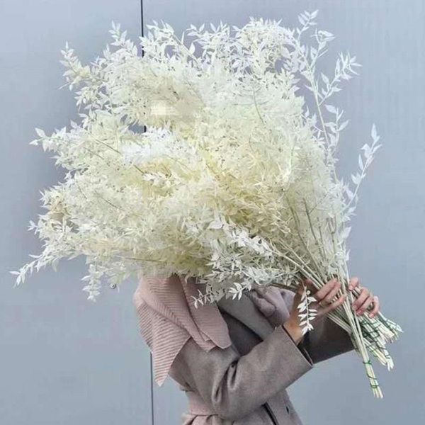 vases 1pc 55cm dried flowers bouquet silver fir leaf artificial flower home table wedding decoration lucky panda bamboo chirsmas decor
vases 1pc 55cm dried flowers bouquet silver fir leaf artificial flower home table wedding decoration lucky panda bamboo chirsmas decor