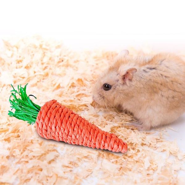 small animal supplies 3pcs/set carrot shaped hamster chew bite toys guinea pig tooth cleaning brinquedos lovely
small animal supplies 3pcs/set carrot shaped hamster chew bite toys guinea pig tooth cleaning brinquedos lovely