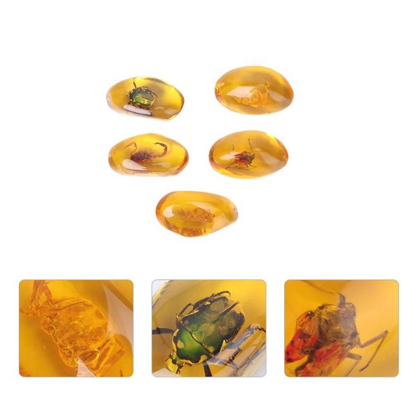 decorative objects & figurines 5pcs amber fossil with insects samples stones crystal specimens home decorations collection oval pendant (ran
decorative objects & figurines 5pcs amber fossil with insects samples stones crystal specimens home decorations collection oval pendant (ran