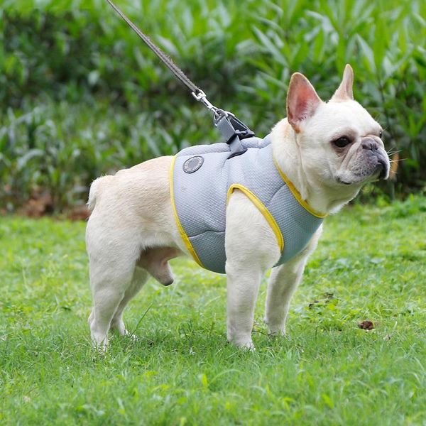 dog apparel high-quality fabric cooling vest cool summer harness coat puppy pets for keep your 
dog apparel high-quality fabric cooling vest cool summer harness coat puppy pets for keep your