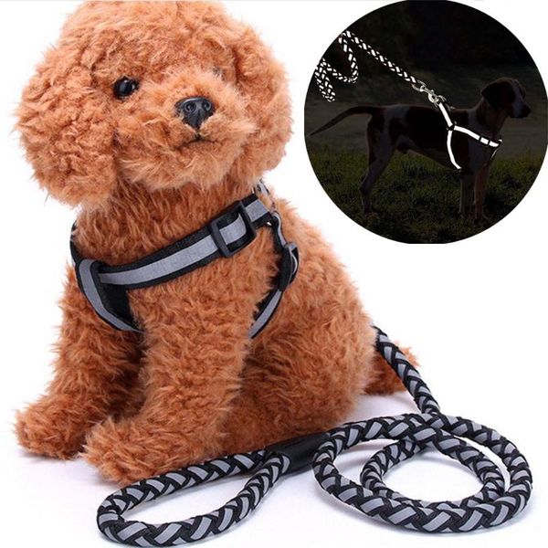 dog collars & leashes leash nylon reflective adjustable braided traction rope for dogs or cats during training and night running durable pra
dog collars & leashes leash nylon reflective adjustable braided traction rope for dogs or cats during training and night running durable pra