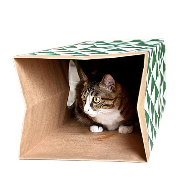 cat tunnel toy funny pet 2 holes play tubes balls collapsible crinkle kitten toys puppy dog small animal supplies
cat tunnel toy funny pet 2 holes play tubes balls collapsible crinkle kitten toys puppy dog small animal supplies