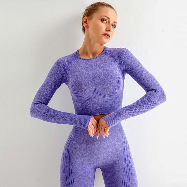 women's tracksuits tracksuitscorset small dot jacquard seamless gradual fitness long sleeve yoga suit s27v, Gray
women's tracksuits tracksuitscorset small dot jacquard seamless gradual fitness long sleeve yoga suit s27v, Gray