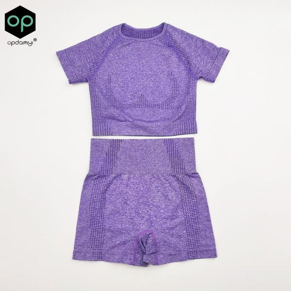 yoga outfit 2pcs/set women high waist seamless set gym clothes fitness short sleeve shirt shorts sports suits athletic wear
yoga outfit 2pcs/set women high waist seamless set gym clothes fitness short sleeve shirt shorts sports suits athletic wear