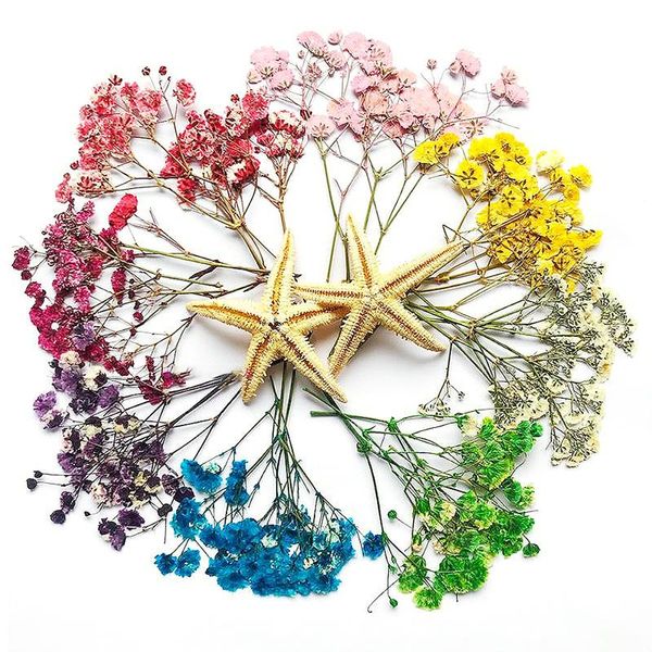 decorative flowers & wreaths 12pcs mini 4-9cm dried pressed baby's breath flower natural common gypsophila paniculata diy gift box card
decorative flowers & wreaths 12pcs mini 4-9cm dried pressed baby's breath flower natural common gypsophila paniculata diy gift box card