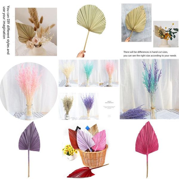 decorative flowers & wreaths palm fan leaf dried flower window reception party art wall hanging decoration wedding arch arrangement
decorative flowers & wreaths palm fan leaf dried flower window reception party art wall hanging decoration wedding arch arrangement