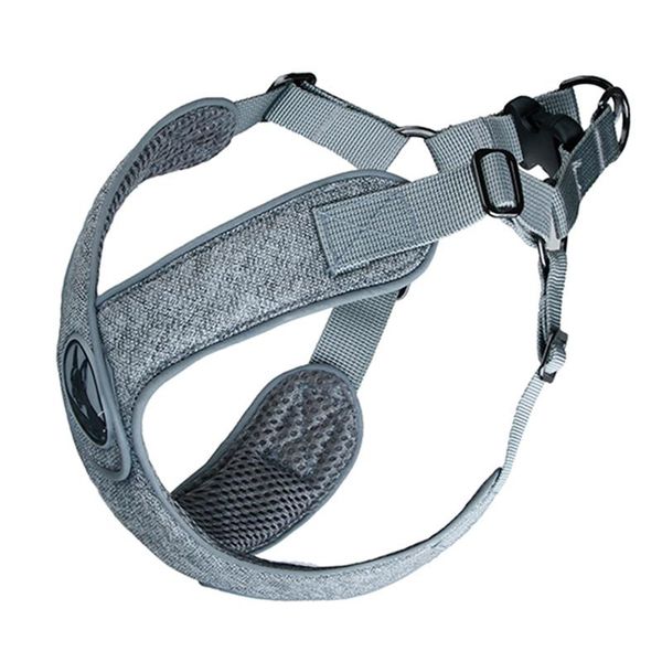 dog collars & leashes drop dogs chest strap reflectors chains strings dog-friendly vests traction rope pets p666
dog collars & leashes drop dogs chest strap reflectors chains strings dog-friendly vests traction rope pets p666