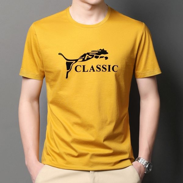 short t-shirt summer new pure mercerized cotton round neck pullover men's half sleeve t-shirt, White;black
short t-shirt summer new pure mercerized cotton round neck pullover men's half sleeve t-shirt, White;black