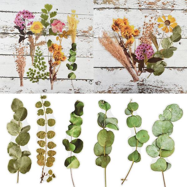 gift wrap 6pcs/set natural plant stickers floral green diy scrapbooking stationery diary label sticker
gift wrap 6pcs/set natural plant stickers floral green diy scrapbooking stationery diary label sticker