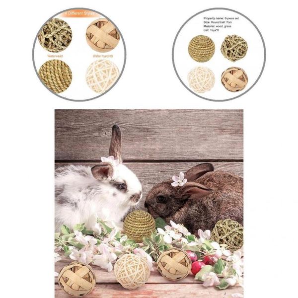 small animal supplies wooden 8pcs/set practical pets play/chew toy reusable safe pet toys
small animal supplies wooden 8pcs/set practical pets play/chew toy reusable safe pet toys