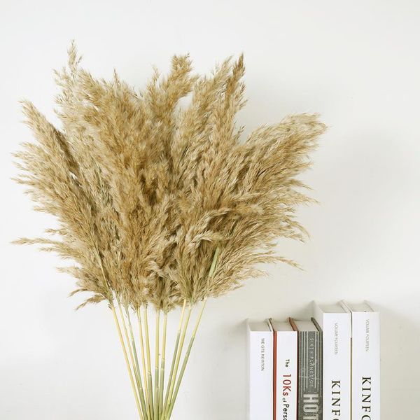 decorative flowers & wreaths 10pc home decoration pampas grass 60 cm natural dried flower artificial and living room
decorative flowers & wreaths 10pc home decoration pampas grass 60 cm natural dried flower artificial and living room