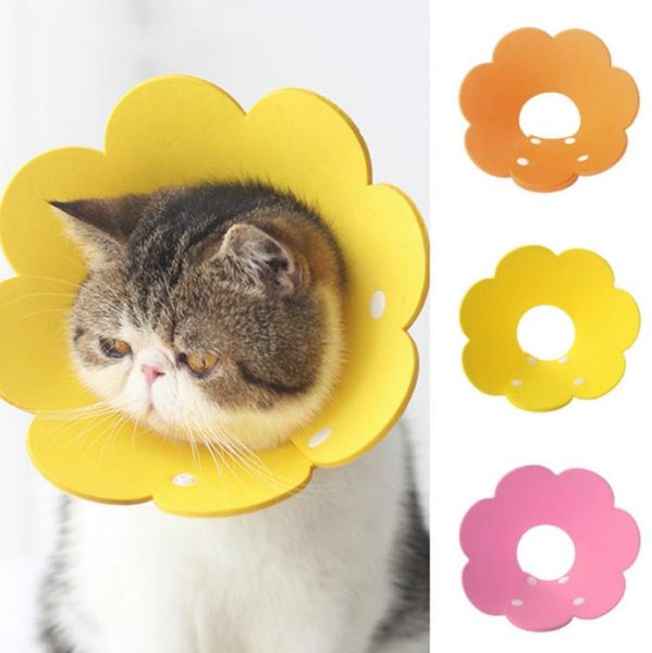 cat collars & leads cute pet protective for dogs cats wound healing protection dog anti-bite neck cone recovery circle
cat collars & leads cute pet protective for dogs cats wound healing protection dog anti-bite neck cone recovery circle