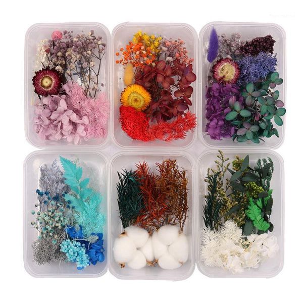 decorative flowers & wreaths 1 box natural dry plants real candle epoxy resin necklace jewelry diy making craft home decor acce1
decorative flowers & wreaths 1 box natural dry plants real candle epoxy resin necklace jewelry diy making craft home decor acce1