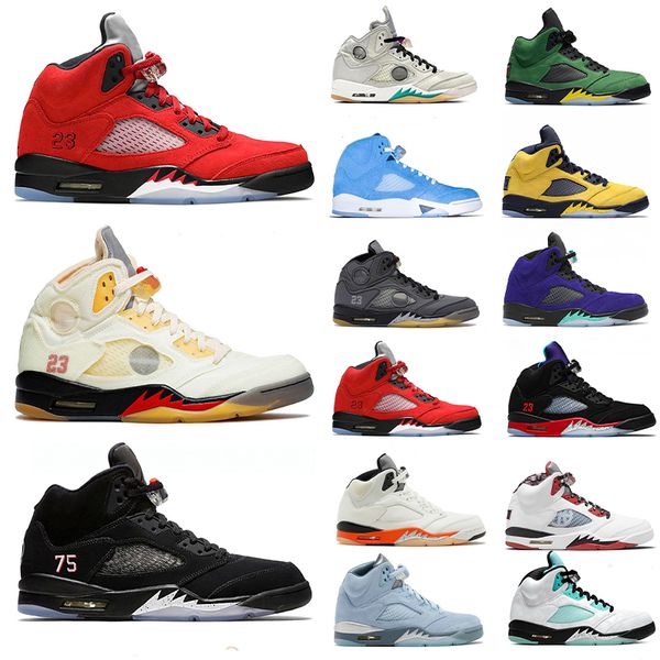 2021 jumpman bluebird oreo 5 sail paris mens basketball shoes anelyzes black cat 5s michigan trophy room women sneakers trainers size 40-47
2021 jumpman bluebird oreo 5 sail paris mens basketball shoes anelyzes black cat 5s michigan trophy room women sneakers trainers size 40-47