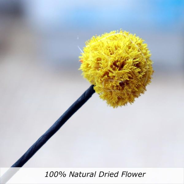 decorative flowers & wreaths diy maching nuatural dried festival products dry flower branch household decoration simulation
decorative flowers & wreaths diy maching nuatural dried festival products dry flower branch household decoration simulation