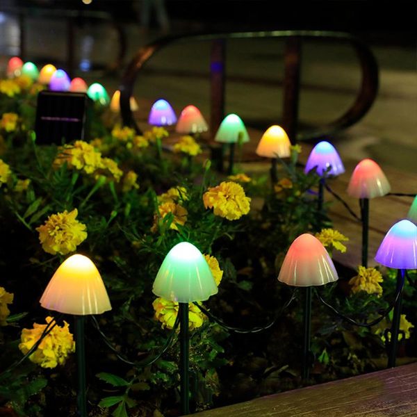 strings led solar mushroom string lights waterproof outdoor garden lighting ground lamp gardening decoration for yard patio pathway lawn
strings led solar mushroom string lights waterproof outdoor garden lighting ground lamp gardening decoration for yard patio pathway lawn