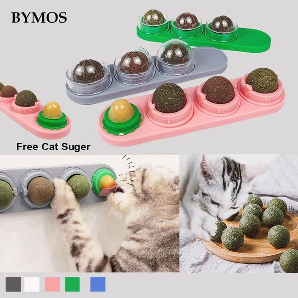 cat toys natural catnip for cats mint leaf sugar treat balls edible treating cleaning teeth rotating puzzle ball
cat toys natural catnip for cats mint leaf sugar treat balls edible treating cleaning teeth rotating puzzle ball