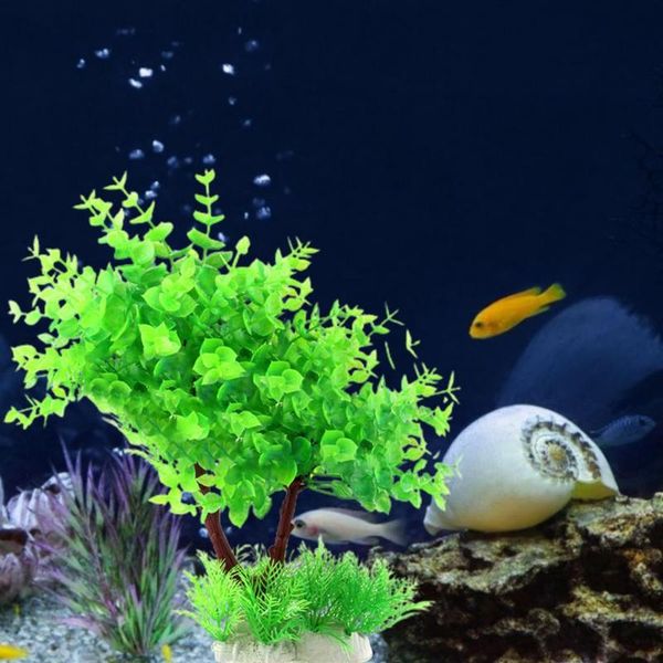 aquatics plants fadeless party supplies plastic fake water grass aquarium decoration for landscaping ornaments pet decorations
aquatics plants fadeless party supplies plastic fake water grass aquarium decoration for landscaping ornaments pet decorations