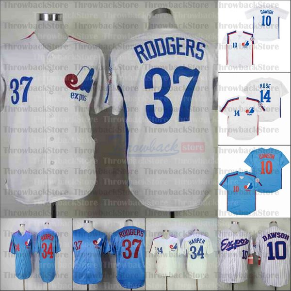 retro baseball 1982 and 2000 home jersey 14 rose 10 dawson 33 walker 34 harper 37 roogers, Blue;black
retro baseball 1982 and 2000 home jersey 14 rose 10 dawson 33 walker 34 harper 37 roogers, Blue;black