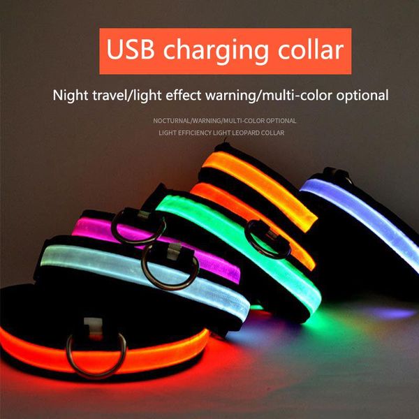 dog collars & leashes usb charging led collar anti-lost for small dogs puppies chihuahua pit bull leads supplies pet products accessories
dog collars & leashes usb charging led collar anti-lost for small dogs puppies chihuahua pit bull leads supplies pet products accessories