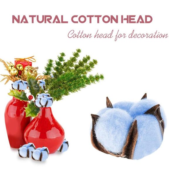 decorative flowers & wreaths 10pcs dried cotton flower heads home wedding party decoration bride corsage hand htq99
decorative flowers & wreaths 10pcs dried cotton flower heads home wedding party decoration bride corsage hand htq99