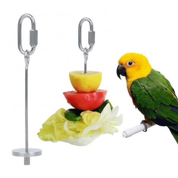 other bird supplies 2021 portable parrot stainless steel fruit fork spear stick skewer feeder accessories comedero pajaro
other bird supplies 2021 portable parrot stainless steel fruit fork spear stick skewer feeder accessories comedero pajaro