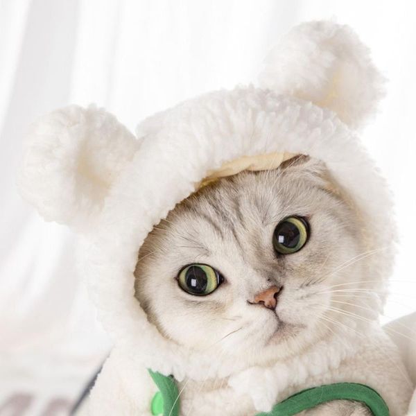 cat costumes for birthday party plush dog costume dress up pet accessories headgear hat
cat costumes for birthday party plush dog costume dress up pet accessories headgear hat
