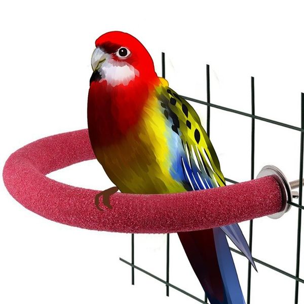 pet bird cage perches stand platform grinding bites toy for parrot parakeet birds accessories toys cages
pet bird cage perches stand platform grinding bites toy for parrot parakeet birds accessories toys cages