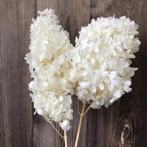 decorative flowers & wreaths real dried natural preserved big-leaf hydrangea with pole,eternal roses forever pagoda shape hydrangeas for dec
decorative flowers & wreaths real dried natural preserved big-leaf hydrangea with pole,eternal roses forever pagoda shape hydrangeas for dec
