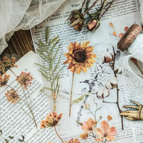 gift wrap 20pack/lot multifunctional hand-made retro special-shaped diy po stickers flower plant decoration sealing
gift wrap 20pack/lot multifunctional hand-made retro special-shaped diy po stickers flower plant decoration sealing