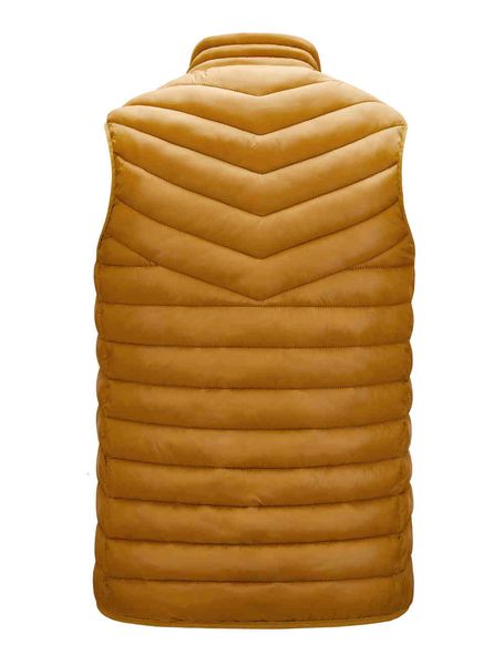 men's vests mens sleeveless jackets winter solid color cotton-padded coats men stand collar thick warm waistcoats clothing 1qhe, Black;white
men's vests mens sleeveless jackets winter solid color cotton-padded coats men stand collar thick warm waistcoats clothing 1qhe, Black;white