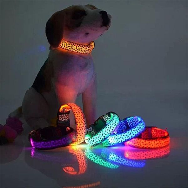 dog collars & leashes led collar night safety flashing glowing leash luminous fluorescent pet accessories
dog collars & leashes led collar night safety flashing glowing leash luminous fluorescent pet accessories