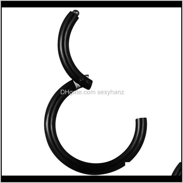 & studs drop delivery 2021 hinged segment rings 16g nose lip septum cartilage nipple tragus earring clicker captive body piercing jewelry hw, Silver
& studs drop delivery 2021 hinged segment rings 16g nose lip septum cartilage nipple tragus earring clicker captive body piercing jewelry hw, Silver
