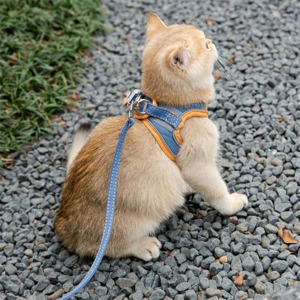cat collars & leads # pet collar belt and leash set walking lead for puppy dogs adjustable harness vest mesh polyester
cat collars & leads # pet collar belt and leash set walking lead for puppy dogs adjustable harness vest mesh polyester