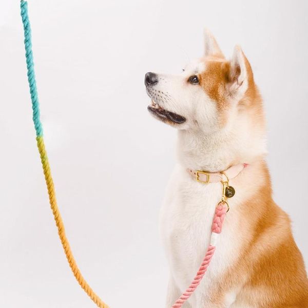 gradient wear-resistant braid cotton rope dog walking traction leash pet supply collars & leashes
gradient wear-resistant braid cotton rope dog walking traction leash pet supply collars & leashes
